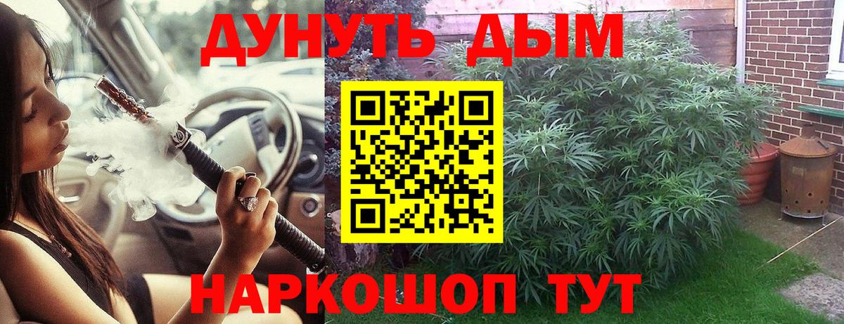 Бошки марихуана SATIVA & INDICA  Шишки марихуана SATIVA & INDICA  Михайловск  МАРИХУАНА план  Вход с VPN 